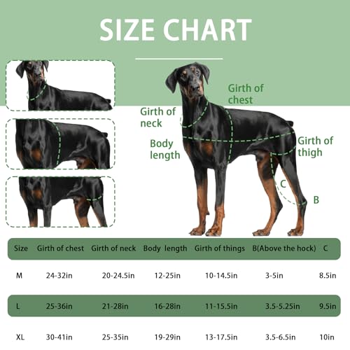 Image of Dog Acl Knee Brace for Torn Acl Leg, Dog Knee Pads for Back Legs Warm Joints and Relieve Joint Pain, Acl Brace for Dogs Rear Leg (XL)