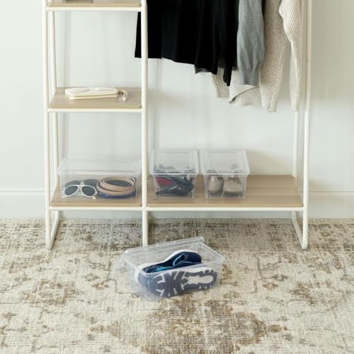 Shoe Storage Boxes Clear