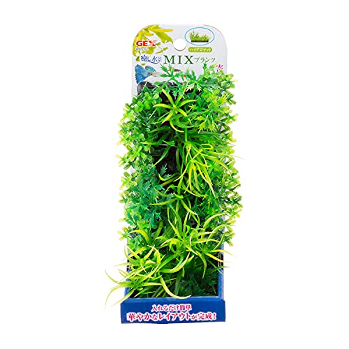 WFbNX i MIXvc nCO}bg