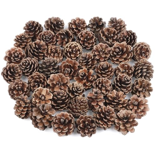 TaoQ C 50 Stück Kleine Tannenzapfen Weihnachts Tannenzapfen...