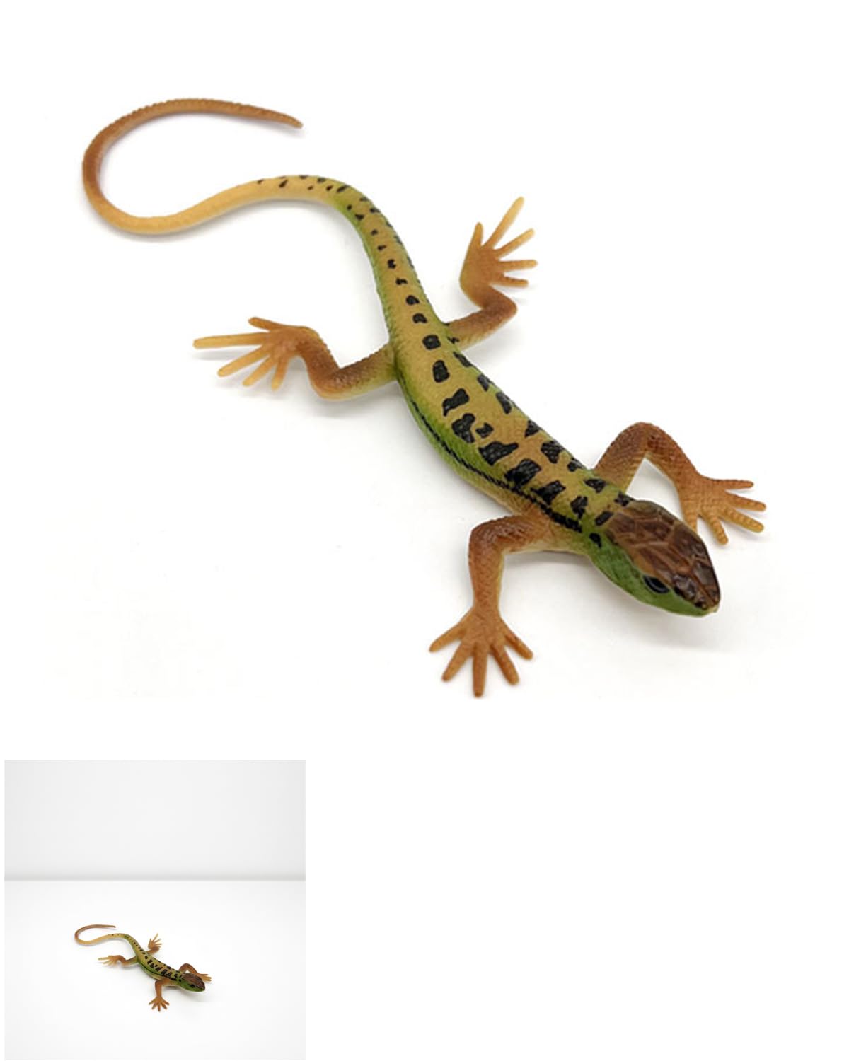 Confezione da 1 Lucertole Simulate,Giocattoli di Lucertole Finte,Giocattoli di Rettili,Ornamenti di Modelli in Plastica Colorati,Oggetti di Scena per Scherzi,Giocattoli da Gioco per Bambini