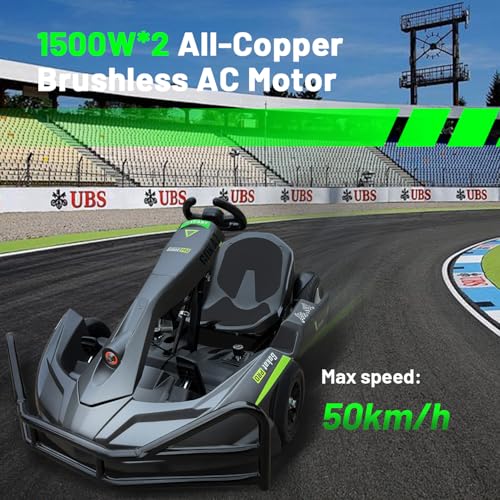 Electric Go Kart, PRO Go Karts for Adults Build in 1500W*2 AC Brushless Motor with 54V8A Removable Lithium Battery and Handbrake, 50km/h High Speed Drifting Gokart for Ages 14+ Up to 2m/200kg