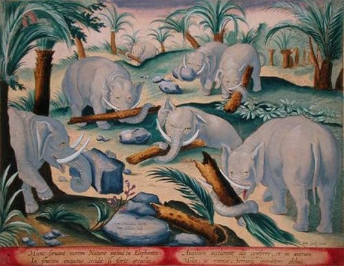 Tableau Impressions d'art Mural pour raviver un mur vide, bataille de Labadia 60x90cm