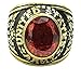 TEMEGO Mens Stainless Steel Red Cubic Zirconia Oval Garnet Gemstone Ring,Vintage Eagle US Army Symbol Band