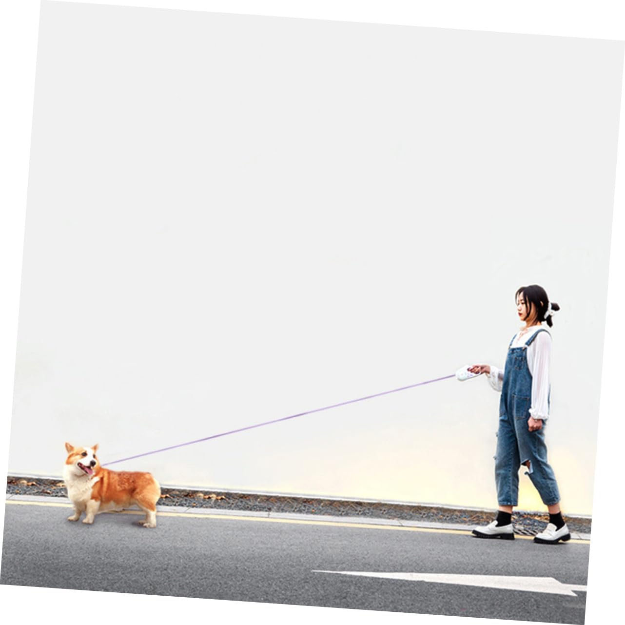 YARNOW Correa Retráctil Automática para Perros Correa Larga Luz Led para Pasear Mascotas para Entrenamiento De Perros
