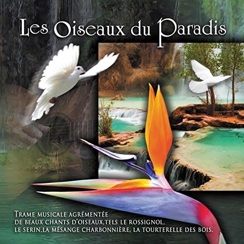 Les Oiseaux Du Paradis / Various [Audio CD] Artistes Varies