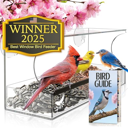 Window Bird Feeder by Nature's Hangout Transparent Acrylic