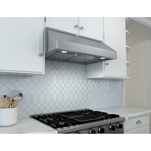 Zephyr Ak7036Bs Pro-Style Under-Cabinet Canopy Hood, Stainless Steel #TOP4
