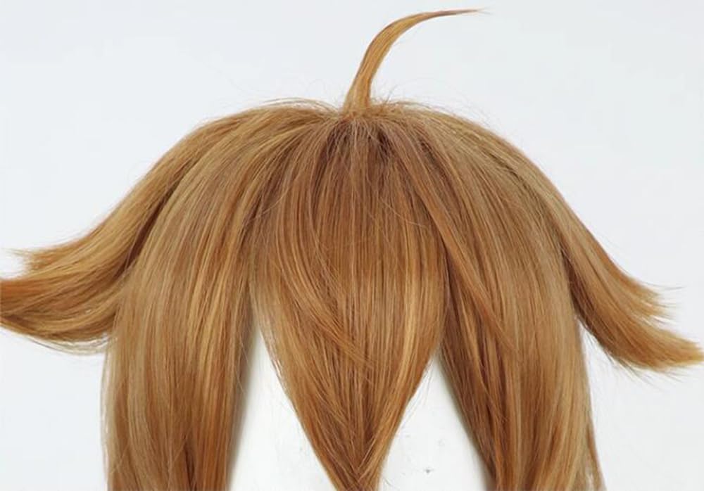 Amazon.co.jp: コスプレウィッグ 伏見ガク 原宿 男子かつら ロング