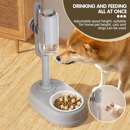 JWPC Pet Dispenser de Água Permanente Gato Cachorro Tigela de Cerâmica de Pé Alimentação Automática