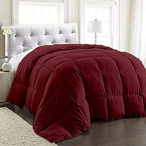 BedDecor 200 GSM Down Alternative Super Soft Premium Quality Microfiber Filling Comforter 600TC Solid 100% Egyptian Cotton (Wine,Queen)