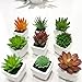 CHICHIC Set of 9 Mini Assorted Artificial Succulent Plants, Decorative Faux Succulents, Small Fake Plants for Decoration, Potted Fake Succulents with Ceramic Pots, Fake Aloe Cactus Cacti with Planters