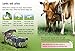 Farm Animals (Beginners)