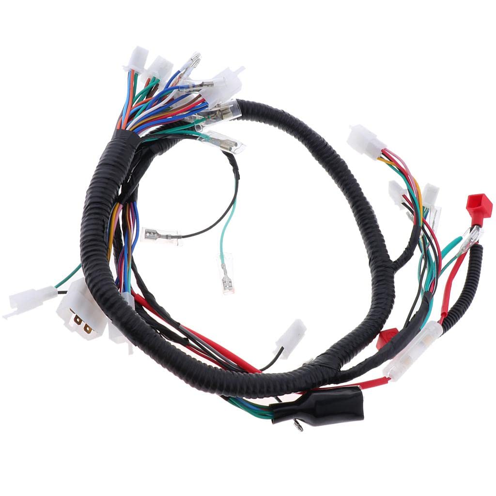 Ensamble Completo de Mazos de Cables Suministro Automóvil, Negro1