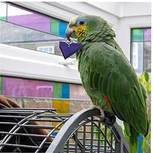 NIDONE Vogel Houten Blok Speelgoed Papegaai Intelligentie Training Educatief Speelgoed Spelen Foerageringbenodigdheden… - Afbeelding 5