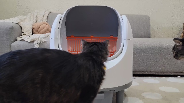 BNZ Self Cleaning Litter Box – Automatic Cat Litter Box for Multiple Cats | App Control, Safety Sensors, Open Top Design | Includes Scent Cartridge & Trash Bags - image 8