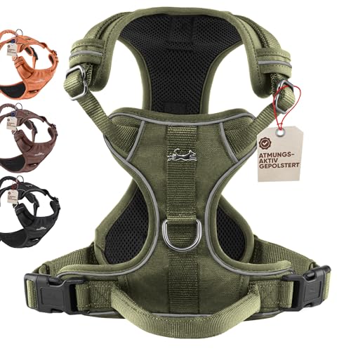 FREUDENTIER Hundegeschirr mit Mesh-Polsterung - Höchster Komfort, bombenfester Sitz & maximale Sicherheit - Anti-Zug-Frontring - Brustgeschirr für große, mittelgroße und kleine Hunde (Grün, S)