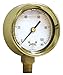 Winters PBC Series Forged Brass Single Scale Pressure Gauge, 0-100 psi, 2-1/2" Dial Display, +/- 1.5% Accuracy, 1/4" NPT Center Back Mount