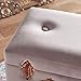 Beautify Pearlized Pink Velvet Storage Stool Trunk Organizer - Ottoman Storage Footstool Pouffe with Rose Gold Clasp and Handle