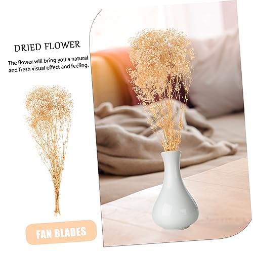 Ramo de flores secas Gypsophila para decoración miniatura 2