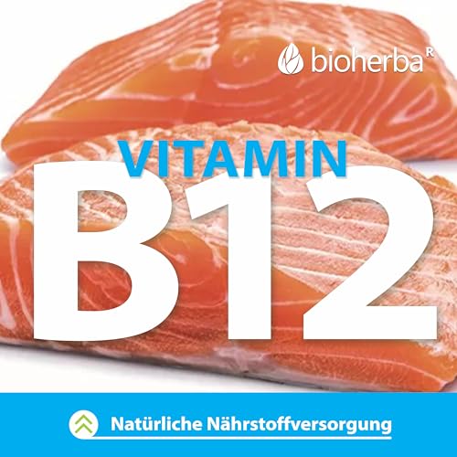 Vitamin B12 Kapseln – 100 Stück mit 500 µg Methylcobalamin zur täglichen Nahrungsergänzung von BIOHERBA PZN 19642669