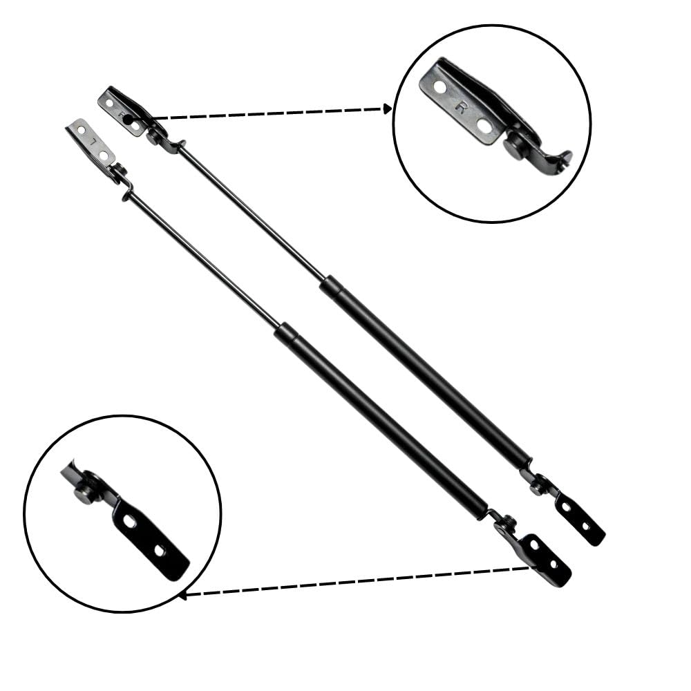 Amazon.com: TENKIDOM Trunk Lift Supports Compatible with Suzuki