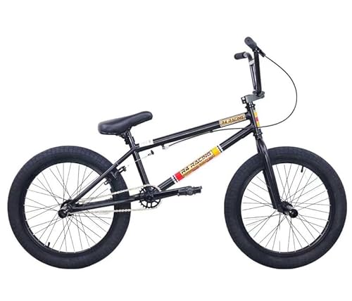 R4 BMX Complete Bike 20 Inch Stunt Pro Bicycle Sealed