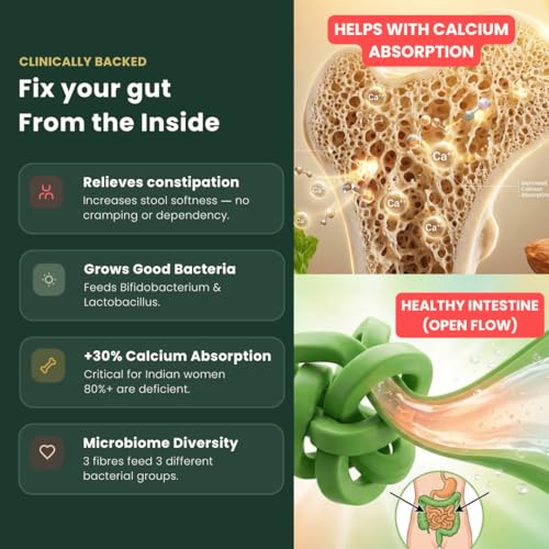 Image of Gutbasket Fiber Boost - 3-Prebiotic Fibre Supplement (Inulin, FOS, Resistant Dextrin) | Grows Good Gut Bacteria | Relieves Constipation | Improves Calcium Absorption | Tasteless, Dissolves Easily | Vegan, Gluten-Free (120 g)