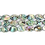 Natural 14mm Abalone Shell Flat Oval Beads Strand 16