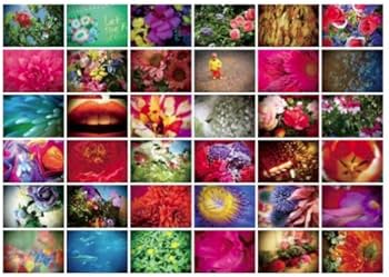 ニナデジ | 蜷川実花, MATOI PUBLISHING |本 | 通販 | Amazon