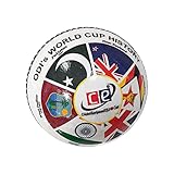 CE Cricket Ball World Cup ODi (5.5 Ozs, World Cup ODi)