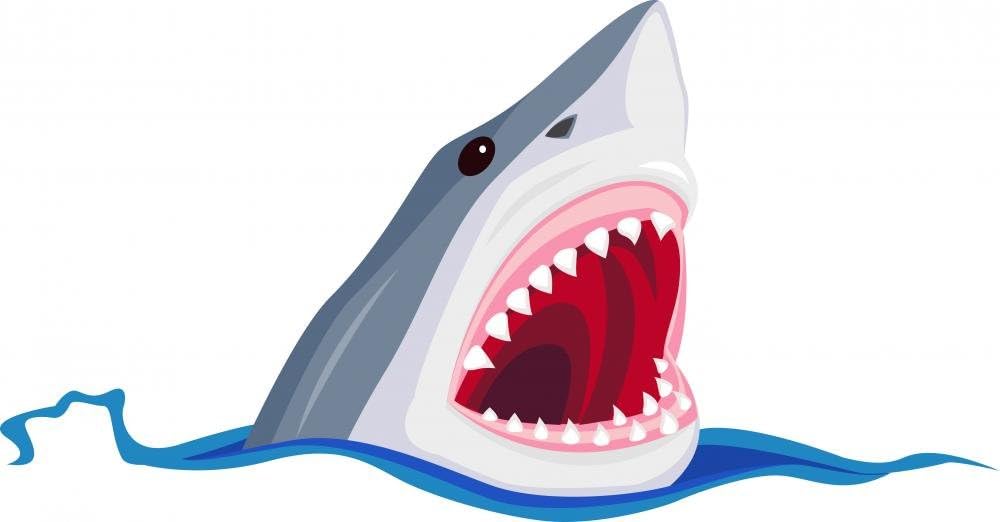 Wallmonkeys Angry Shark Wall Decal Peel and Stick Animal Graphics (72 in W x 38 in H) WM320368