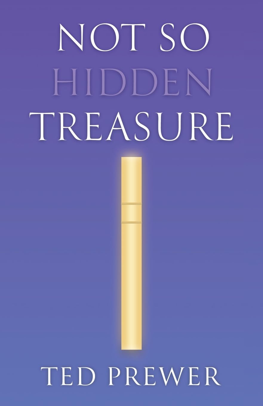 Not So Hidden Treasure