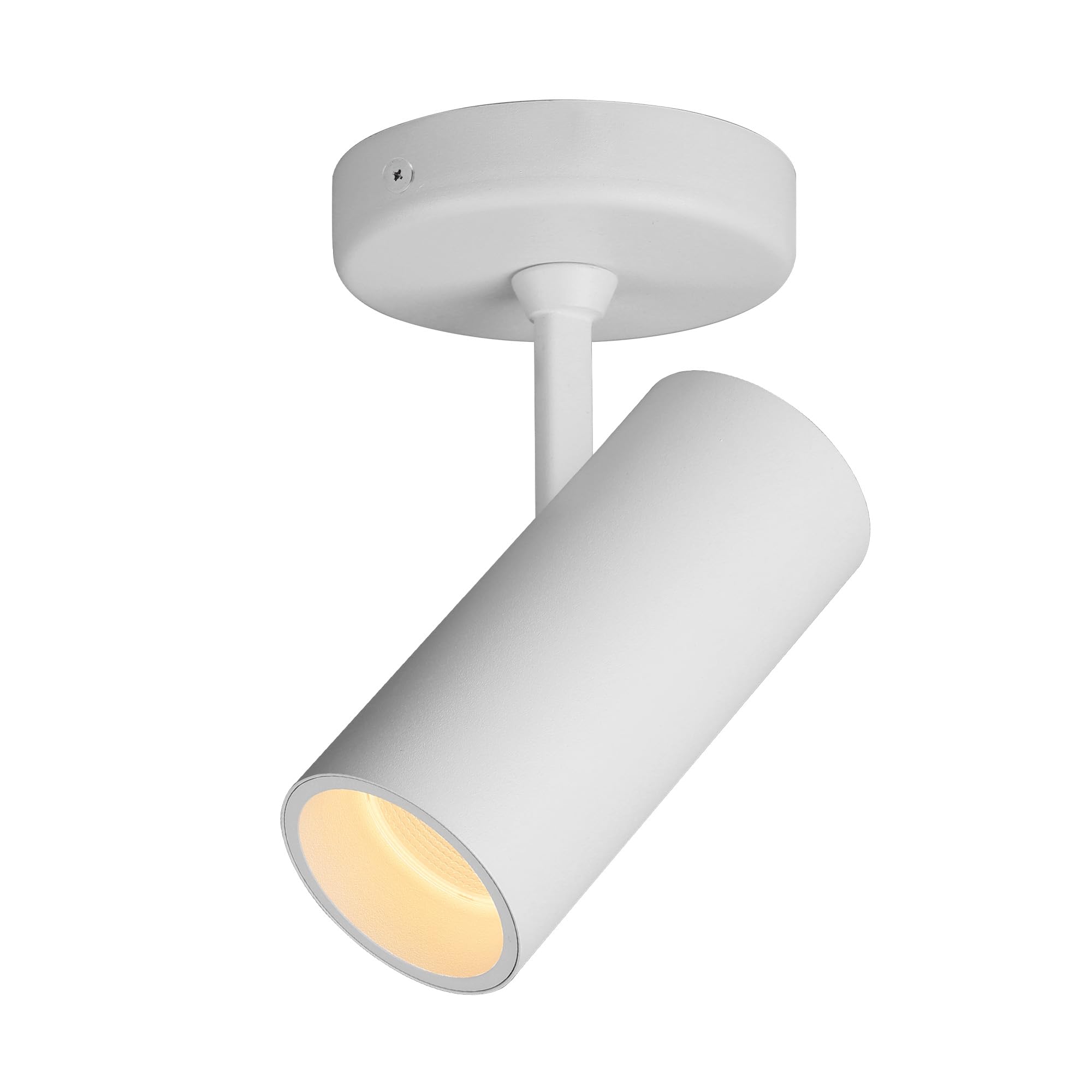 Aisilan LED Modern Directional Dimmable Spotlight Adjustable 90 Degrees Anti Glare Ceiling Spot Light for Indoor Foyer Living Room Warm White White 9W CREE COB CRI 97