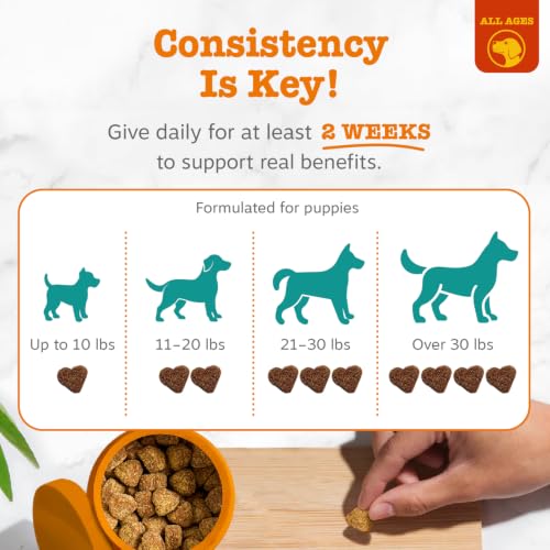 Image of Zesty Paws Calming Chews for Dogs - for Everyday Stress, Relaxation, Composure, and Separation, Puppy Bites Turkey 90 Count