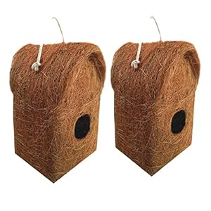 LIVEONCE Pure Nest Bird House Purely Handmade, Type -Coir, Color -Brown, Size,Set of 2 (Large)