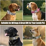 AKOFIC Taktisches Hundehalsband mit Griff, Breites Halsband Hund Gepolstert aus Nylon, Verstellbar Robuster Dog Collar mit Metallschnalle für Mittlere Große Hunde (Dunkelkhaki, M)