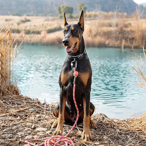 Lucky Lucy Reflective Dog Lead 2 m Tear-Resistant Polypropylene / Polyester up to 300 kg with Aluminium Carabiner for Medium and Large Dogs Bright Fuchsia - Image 4