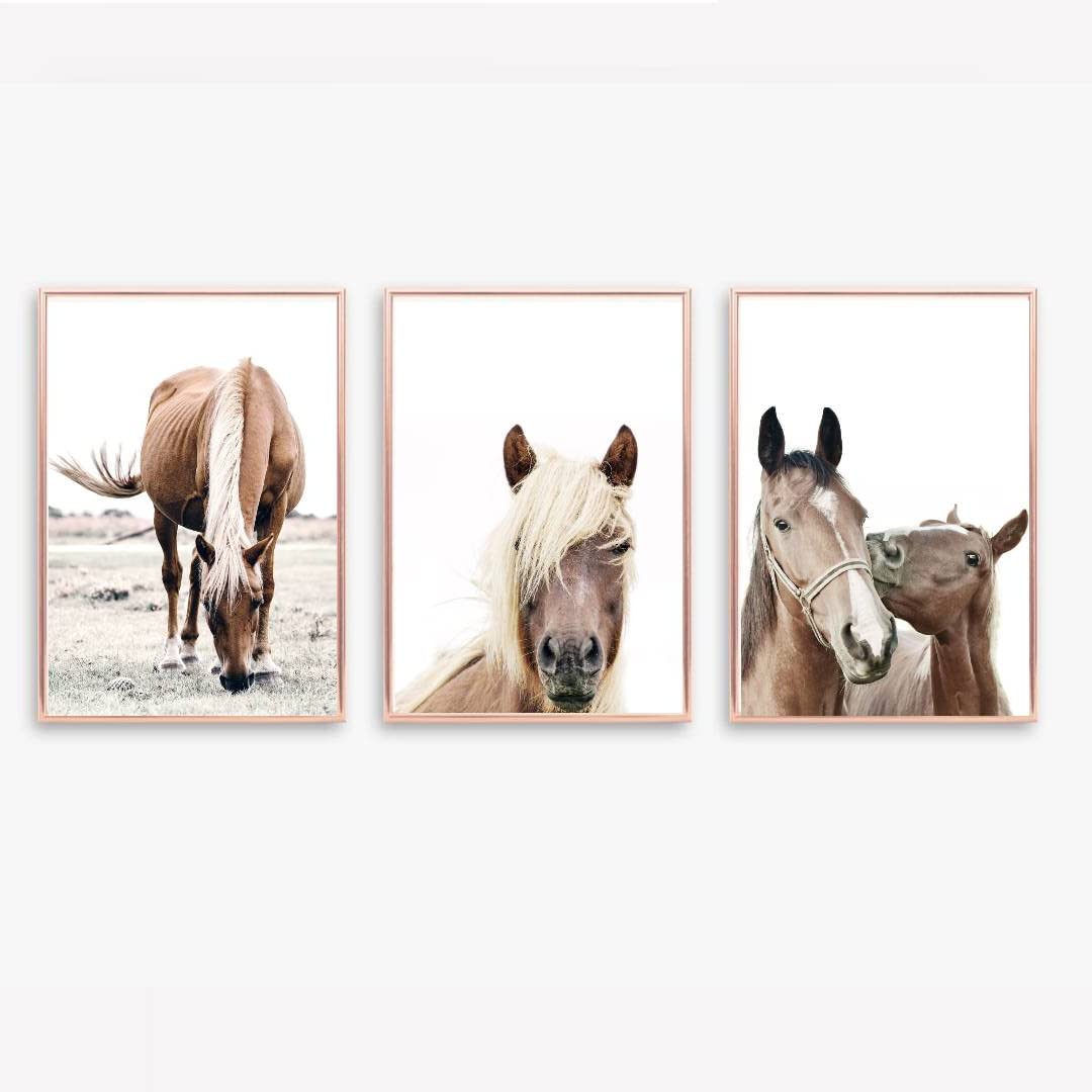 Gfc Multi Set Of 3 Horse Prints Picture Poster Zebra Elephant Gift A4 Unframed Wall Art Home Decor Decorating Horses
