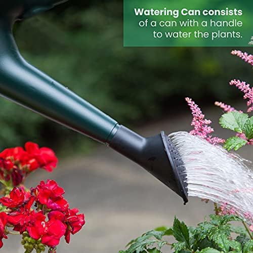 WINSOME Watering Can with Rose for Indoor & Outdoor Plant - Heavy Duty Strong PVC Plastic Watering Cans for the Garden with Double Handle to Control Water Flow - 6 L, Green