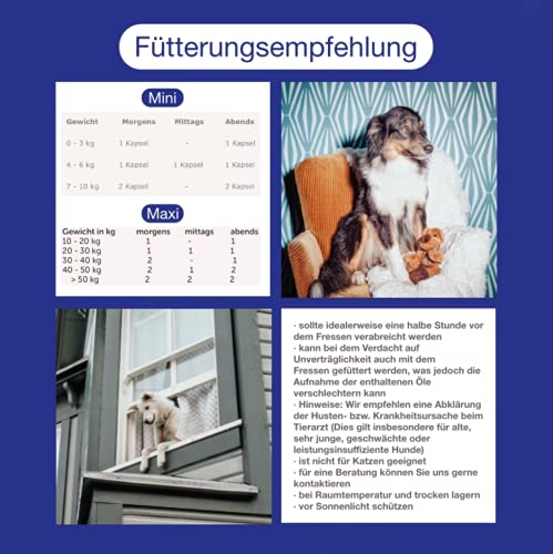 CaniMove bronchial Maxi - 30 Kapseln für Hunde zur Unterstützung der physiologischen Atemfunktion und Linderung von Hustenreiz, für Hunde ab 10 kg Körpergewicht