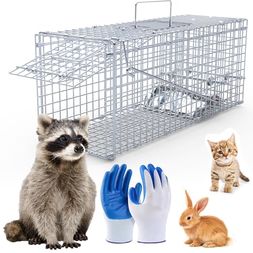 KinWarmth Live Humane Animal Trap Cage Catch and Release Rodent Folding Heavy Duty Cage for Rabbit Squirrel Possum Skunk Kitten Raccoon Beavers Groundhogs Small Foxes Armadillos/25.5x9x9.84 inches