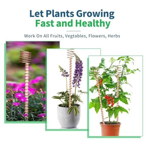 Electroculture-Plant-Stakes-Long-Copper-Garden-Stakes-Electroculture-Copper-Coil-Antennas-for-Growing-Garden-High-Yield-Eco-Friendly-Plants-Pole-10