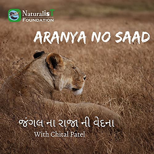 જંગલ ના રાજા ની વેદના
