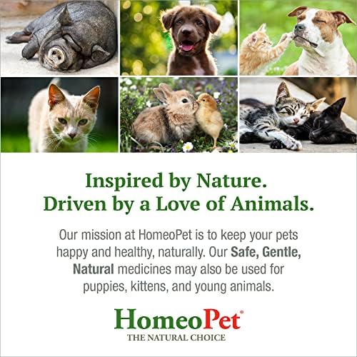 HomeoPet FELINE NOSE RELIEF - 100% Natural Pet Medicine. Support for a healthy nasal and sinus tract. Runny nose, watery eyes, sneezing & congestion. Cats of all ages. 15ml/up to 90 doses per bottle