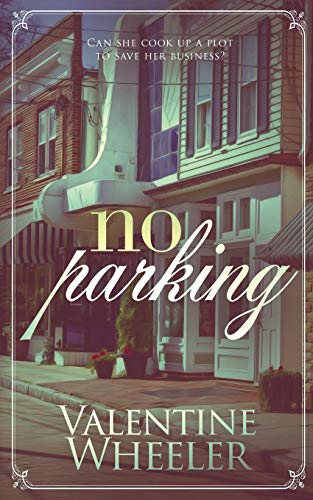 No Parking view 2