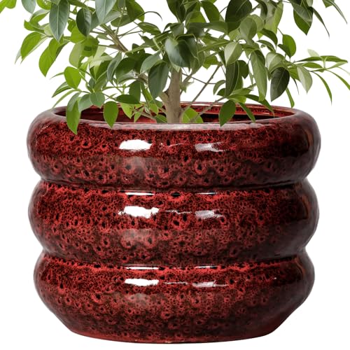 SQOWL 10 Inch Plant Pots - Ceramic Planter for Indoor Plants, Ceramic Plant Pot with Drainage Hole, Bubble Round Flower Pots Outdoor, Home Office Living Room Decor, Gifts for Plant Lover, Red