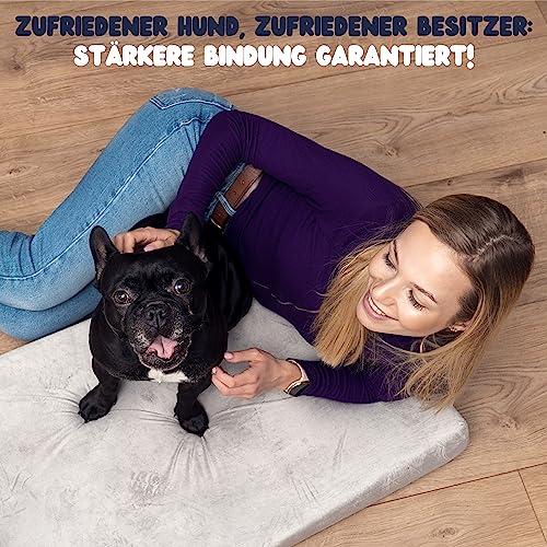 ZENAPOKI Hundebett - S - Orthopädisches Hundekissen für Hunde, Gut die Gelenke - Waschbar Abnehmbare Bezug, 60x40x9cm