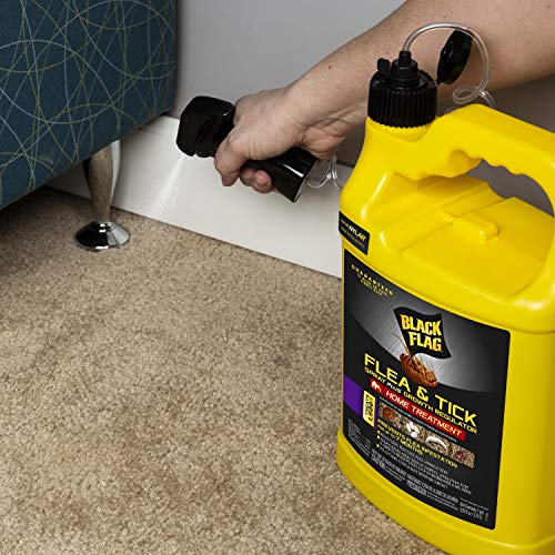 Image of Black Flag Extreme Flea Killer Plus Growth Regulator RTU for Insects, 1-gal, 128 Oz