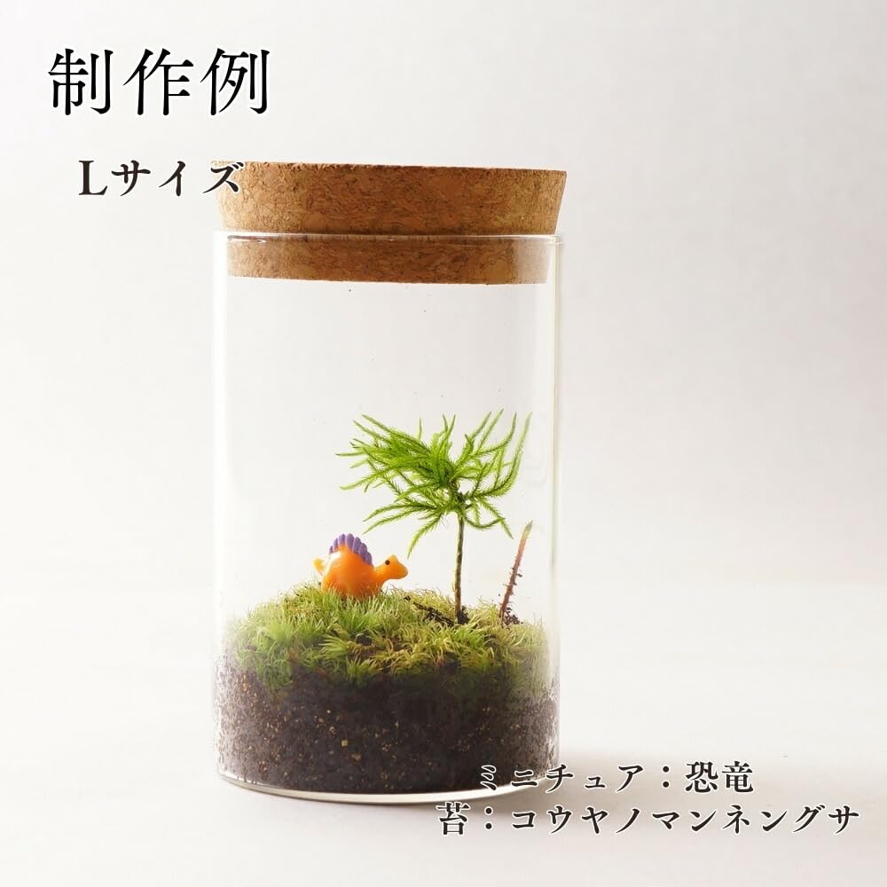 Amazon.co.jp: 苔庵介る【制作キット】 苔テラリウム コンパクト 65mm